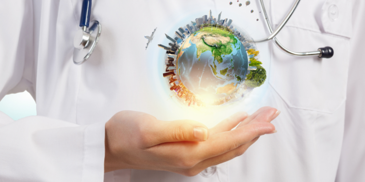 The interdependent relationship between human, animal, and environmental health