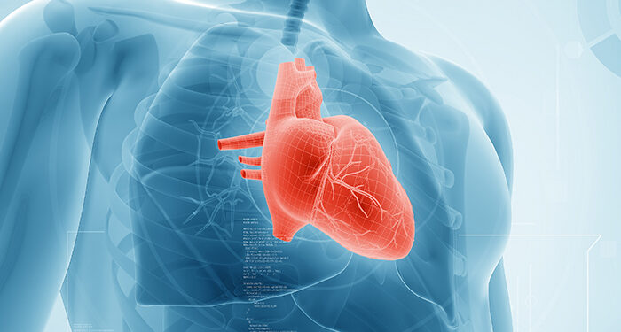 Can technology reduce the heart disease burden?