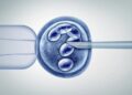 Can AI increase the success rate of IVF?