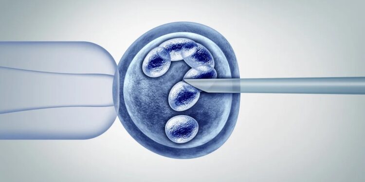 Can AI increase the success rate of IVF?